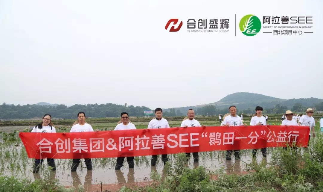 合创集团携手阿拉善SEE“鹮田喜地 春种有我”公益行